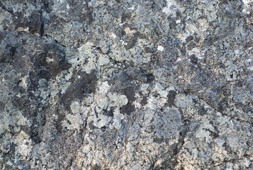 Natural color black and white stone texture background image