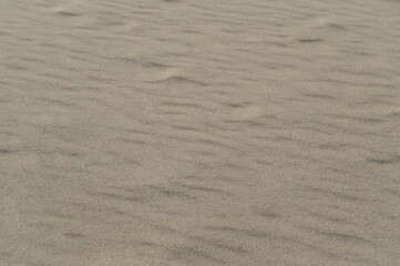 砂が作る自然の模様