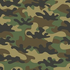 Fototapeta premium camouflage pattern