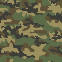 Fototapeta premium military camouflage pattern