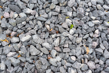 Little gray pebbles texture with grass and leaves