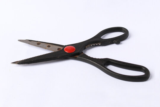 scissor object with isolated background photo