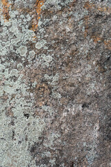Textured stone background hard surface rock mountain trail