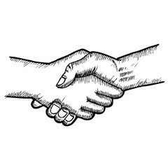 hand shake vector illustration