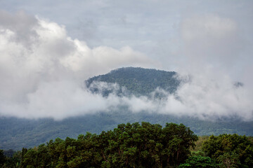 Beautiful landscape green tree and shadow on the river with blue sky clouds, Green mountain with blue sky clouds after rain