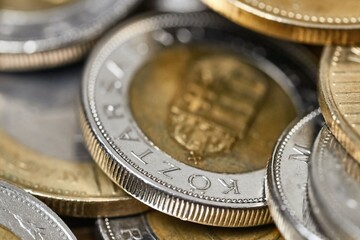 Money coin hungarian forint high detail macro closeup