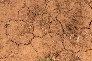 solo árido de terra rachado