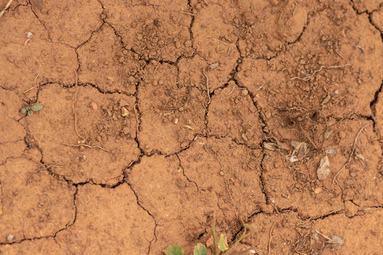 solo &aacute;rido de terra rachado