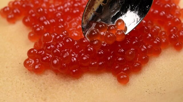 fresh chum salmon caviar on a baked pancake, spread with a spoon, close up