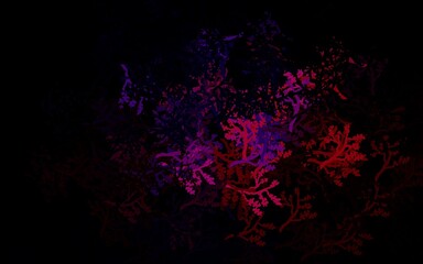 Dark Pink, Red vector elegant background with trees, branches.