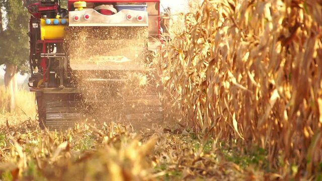 Footage Slow Motion: Modern farmers need a convenient corn harvester