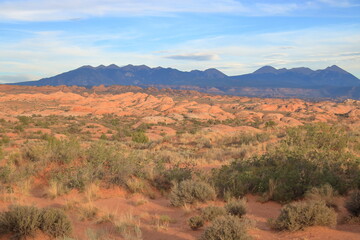 Desert landscape and La Sal Mountains in shadow, Arches National Park