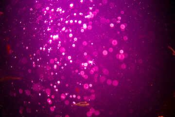 Abstract pink defocus bokeh glitter