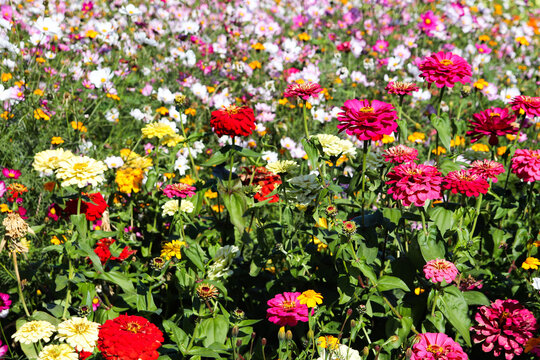 339 Best 秋の季語 Images Stock Photos Vectors Adobe Stock