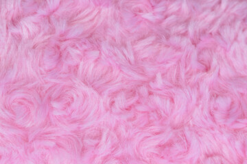 Fototapeta premium Pink luxury wool natural fluffy fur wool skin texture close-up