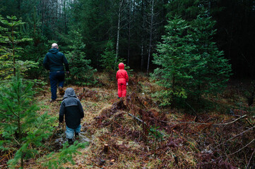 A father and children walk through the forest of a Christmas tree farm looking for a Christmas tree to cut down © PNPImages