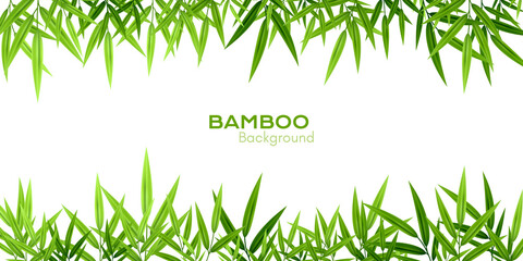 Bamboo decoration. Background with leaves borders. - obrazy, fototapety, plakaty