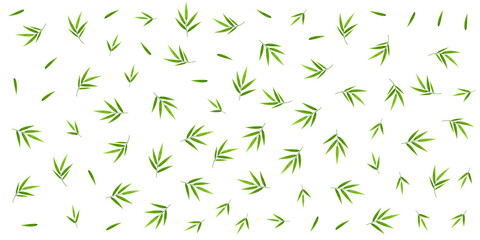 Bamboo decoration. Background with foliate pattern.