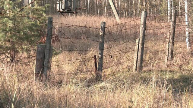 Weathered cedar gate post and rusted barbed wire fence. A barbed wire fence with wooden post in the countryside
