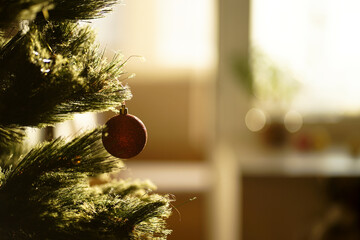 christmas tree in the window