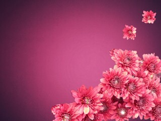 Spring pink flowers decorative background texture © GuruTop5