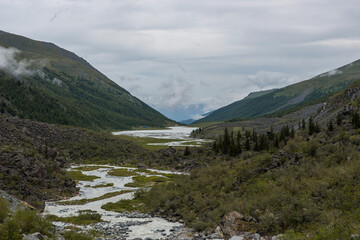 Fototapeta na wymiar the alarmingly bubbling white mountain river of the Altai-Akkem
