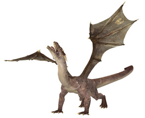 3d render of a fantasy dragon