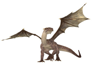 3d render of a fantasy dragon