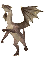 3d render of a fantasy dragon