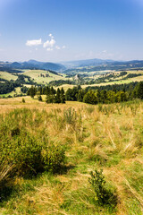 Fototapeta premium Summer in Pieniny Mountains. View from Rozdziela Pass on nature reserve 
