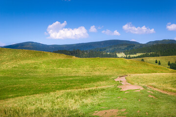 Fototapeta na wymiar Pieniny and Beskids Mountains in summer. View of valley of nature reserve 
