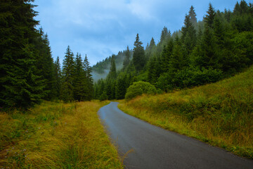 Fototapeta na wymiar The road through nature with the mist rising above the firs