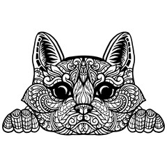 Hand drawn of cat head zentangle arts . vector illustration
