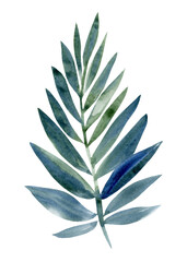 Tropical green leaf, watercolor sketch