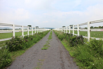 path in the countryside