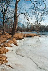 504-63 Ice on the DuPage River