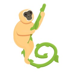 Gibbon on liana icon. Cartoon of gibbon on liana vector icon for web design isolated on white background