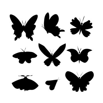 Vector set of illustrations with butterflies in doodle style.Collection with flying insects black silhouettes hand drawn.Clip art with summer creatures.Design for packaging,social networks,web,cards.