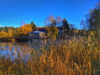 lake in autumn