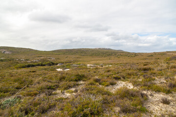 Fototapeta na wymiar Landscape in the Cape Le Grand National Park east of Esperance, Western Australia