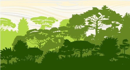 Deciduous forest. Silhouette. Mature, spreading trees. Thick thickets. Hills overgrown with plants. The sky is stylized with wood grain. Vector