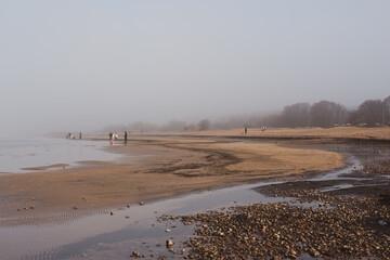 foggy morning beach of the Finnish gulf 