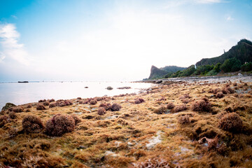 sunrise on the beach at Ly Son island, Quang Ngai Province, Viet Nam