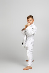 little child boy in a white karate kimono. Karate fighter ready to fight.