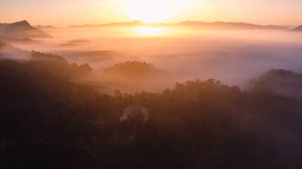 The sunrise and the fog in the forest