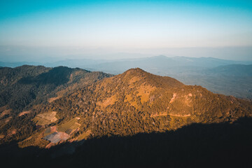 Mountains and pine forests in the evening