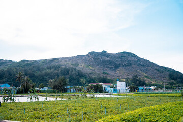  town at Ly Son Island, Quang Ngai Province, Vietnam