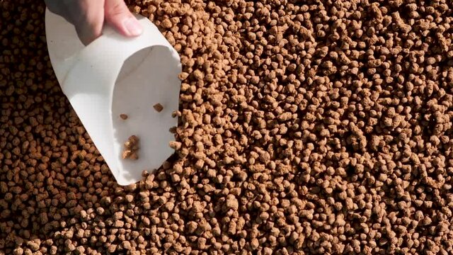 Adjusting the oxygen value for the coop.