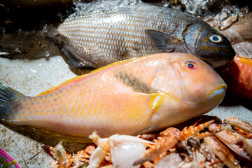 Fresh sea bass is sold in the market