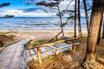 Resting place among pine forest near a beach of the Baltic Sea in in National Nature Park Kemeri,...